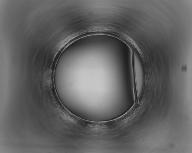 X0000091080786200708201432