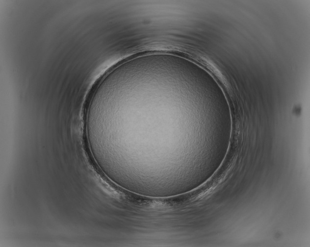 X0000091080787200708201432