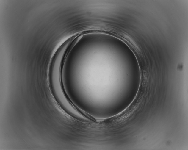 X0000091080788200708201432