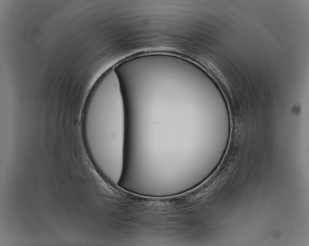 X0000091080789200708201432