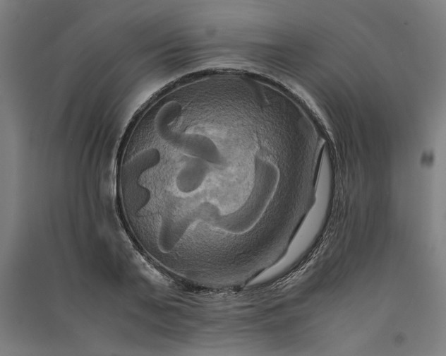 X0000091080791200708201432