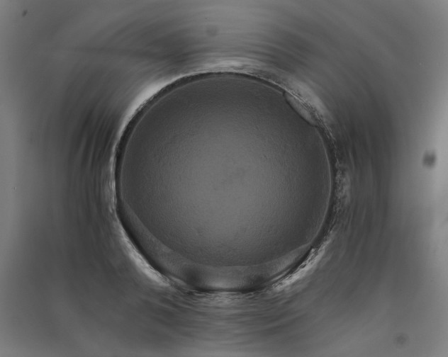 X0000091080792200708201432