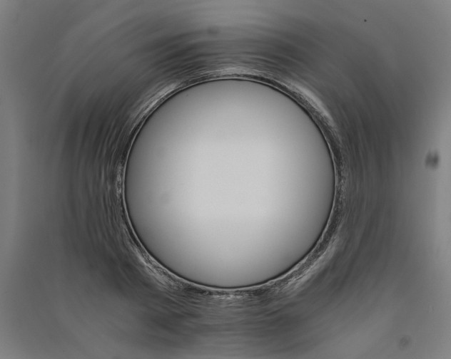 X0000091080793200708201432