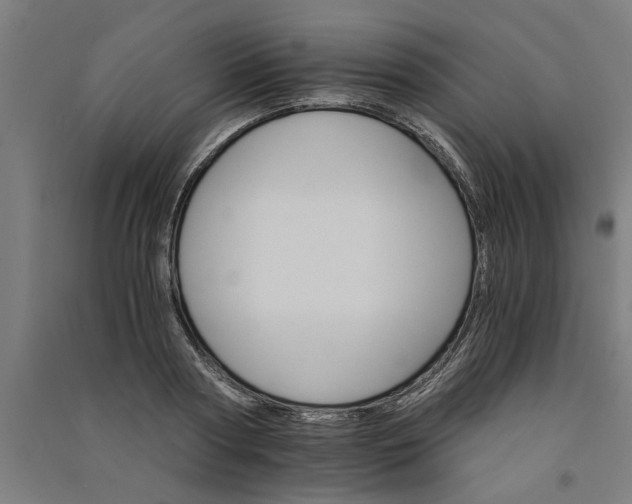 X0000091080794200708201432