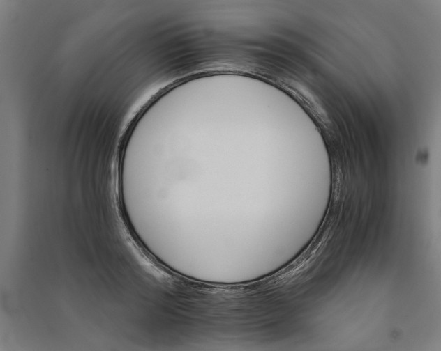 X0000091080796200708201432