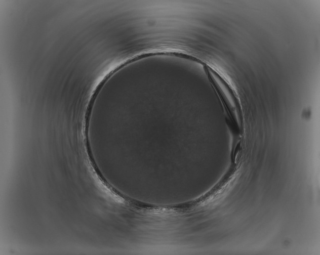 X0000091080797200708201432