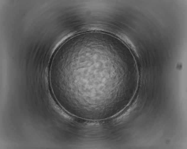 X0000091080798200708201432