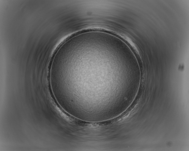 X0000091080799200708201432