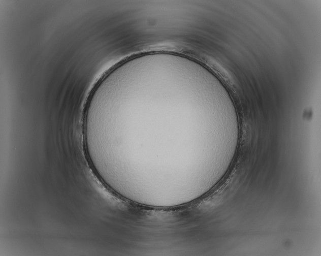 X0000091080800200708201432