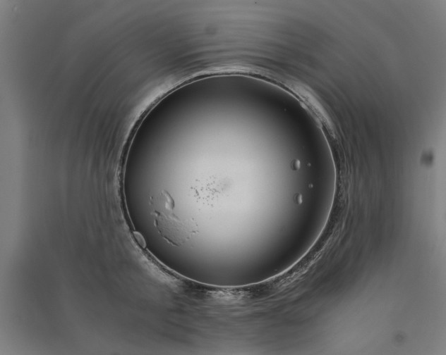 X0000091080805200708201432