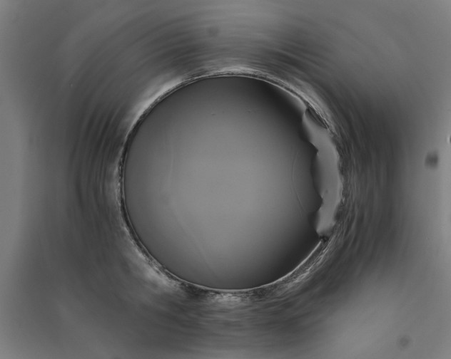 X0000091080806200708201432