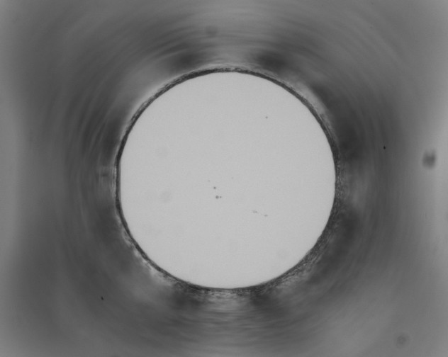 X0000091080807200708201432