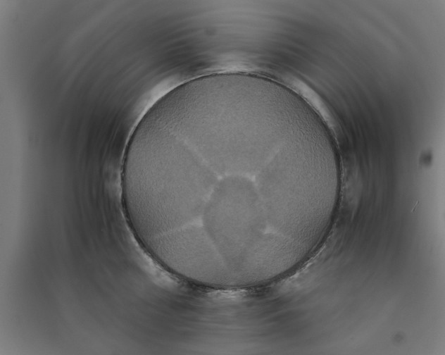 X0000091080810200708201432