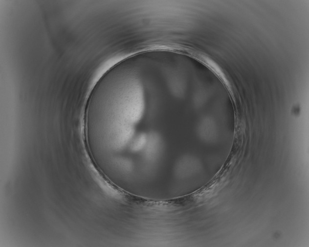 X0000091080811200708201432