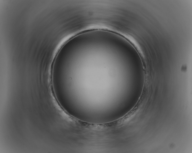 X0000091080815200708201432