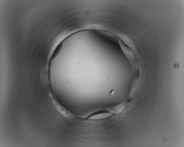 X0000091080816200708201432