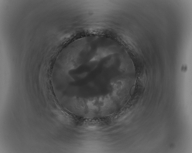 X0000091080817200708201431