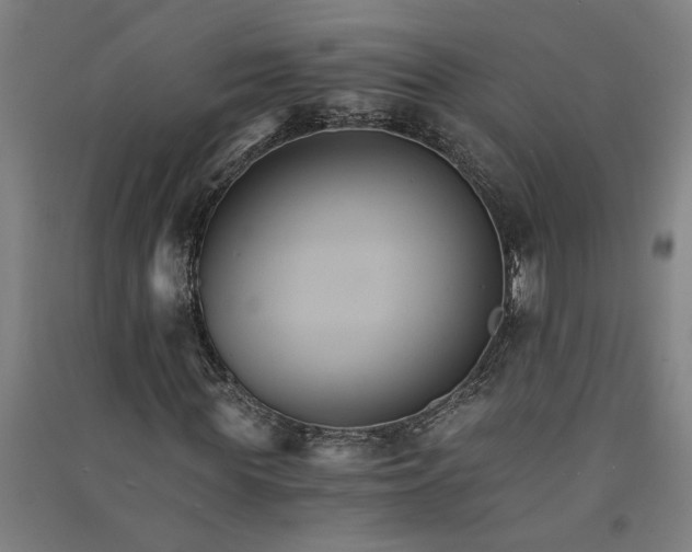 X0000091080819200708201431