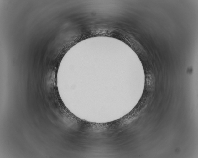 X0000091080820200708201431