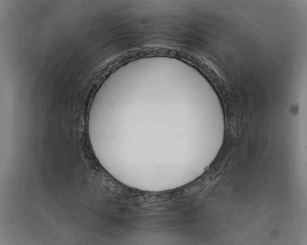 X0000091080821200708201431