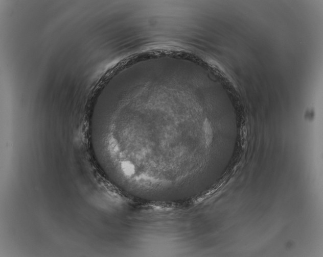 X0000091080822200708201431