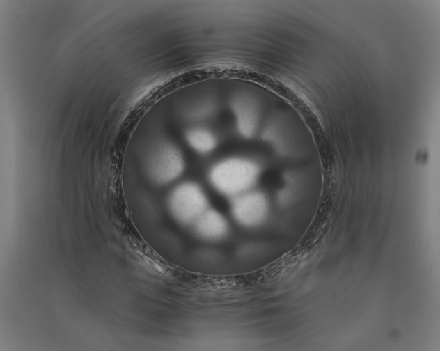 X0000091080823200708201431