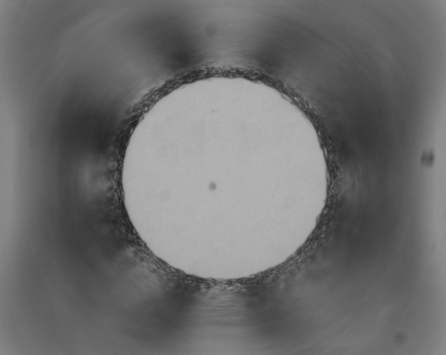 X0000091080824200708201431