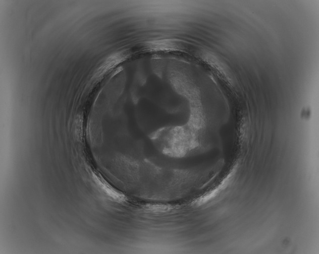 X0000091080825200708201431