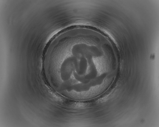 X0000091080829200708201432