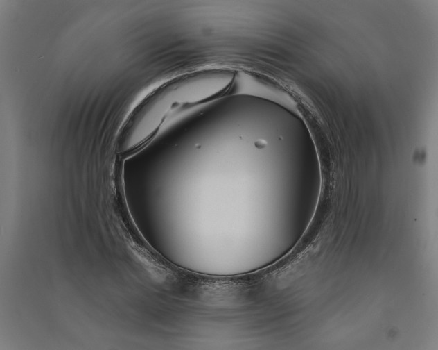 X0000091080830200708201432