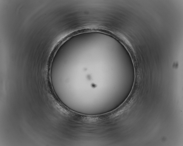 X0000091080831200708201432