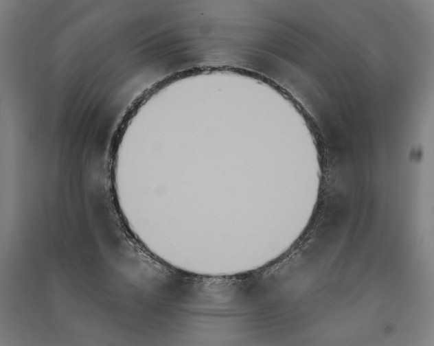 X0000091080832200708201432