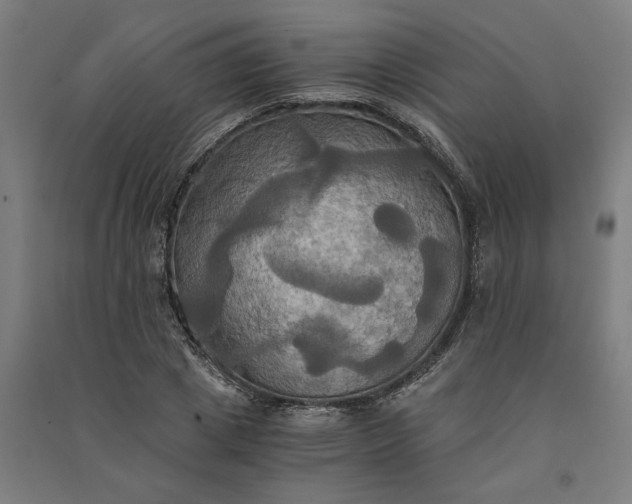 X0000091080833200708201432