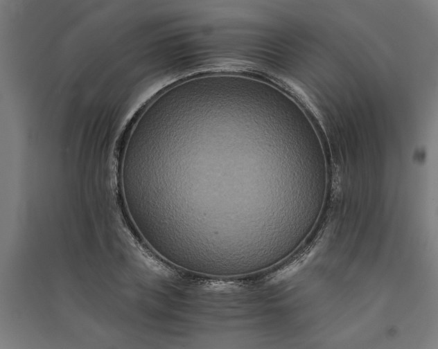 X0000091080835200708201432