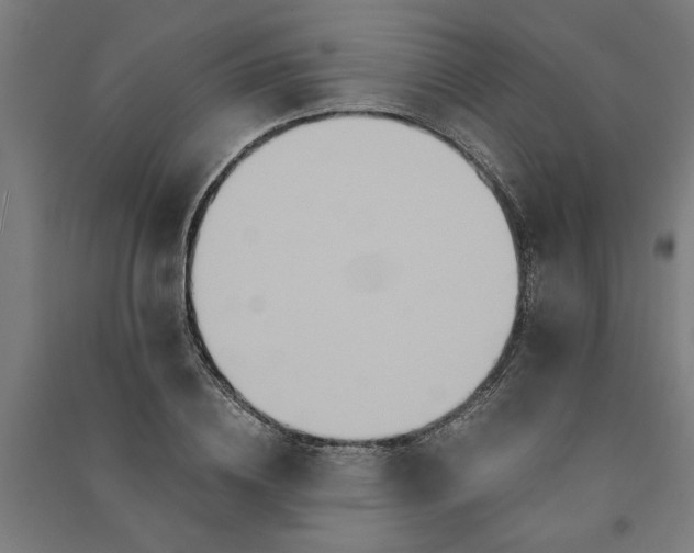 X0000091080836200708201432