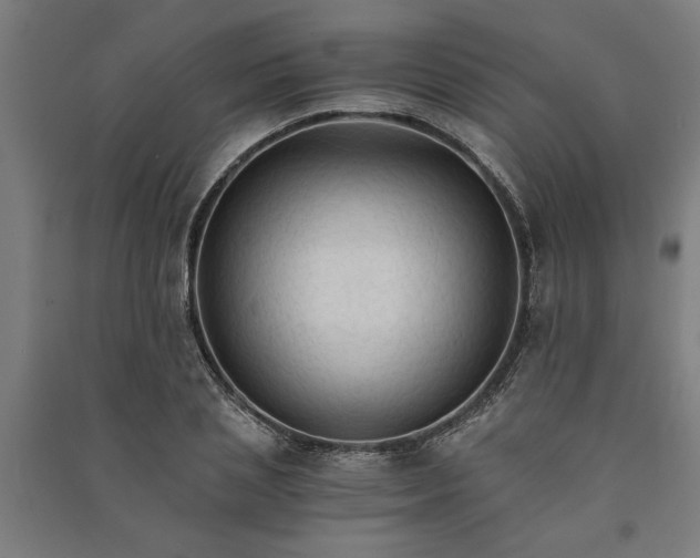 X0000091080837200708201432