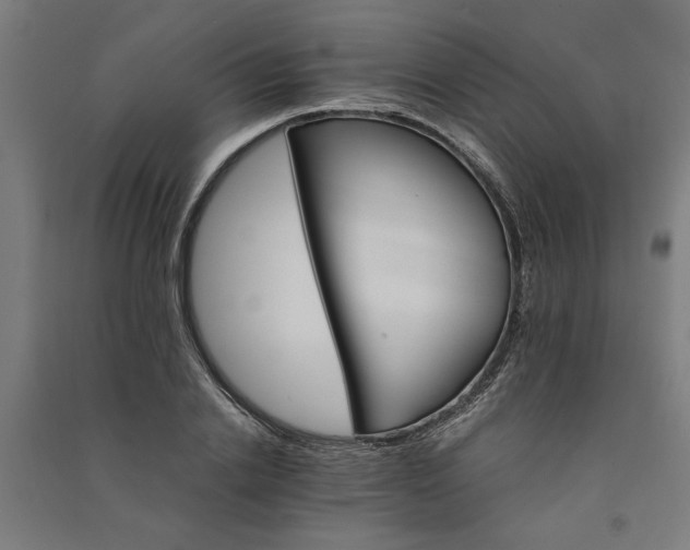 X0000091080838200708201432