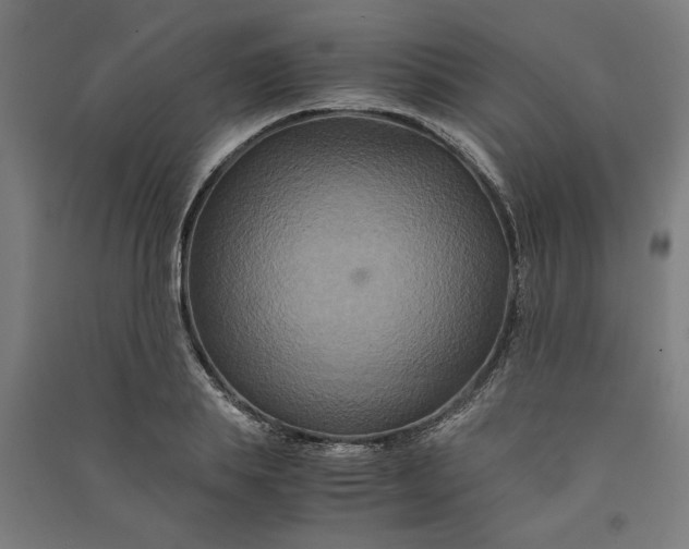 X0000091080839200708201432