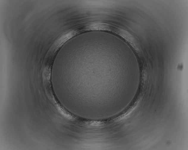 X0000091080841200708201432