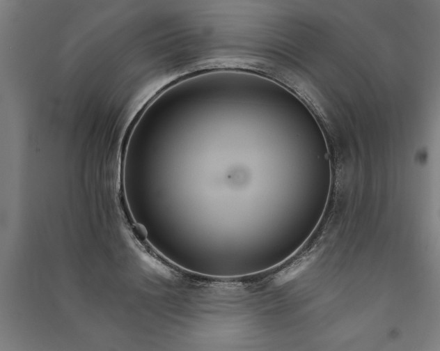 X0000091080844200708201432