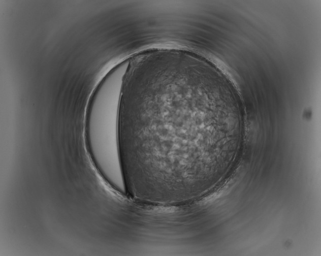 X0000091080845200708201432