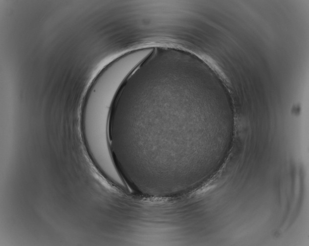 X0000091080846200708201432