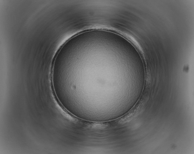 X0000091080847200708201432