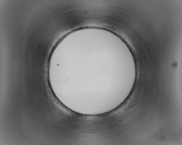 X0000091080848200708201432