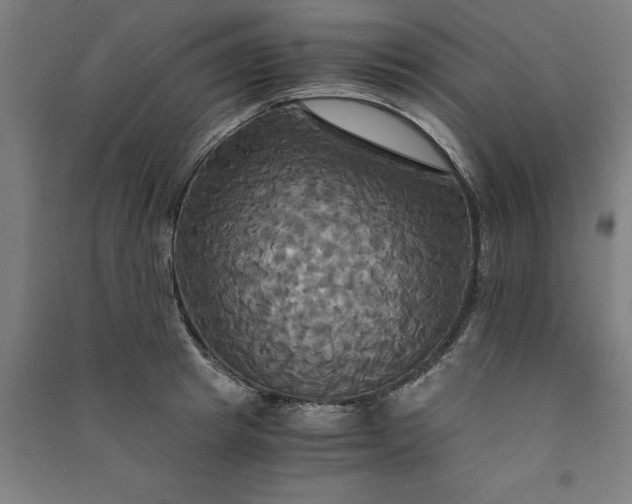 X0000091080849200708201432