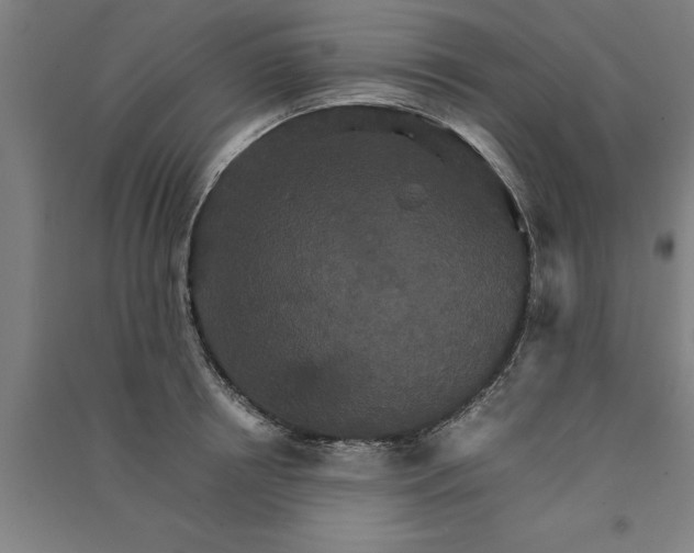 X0000091080850200708201432