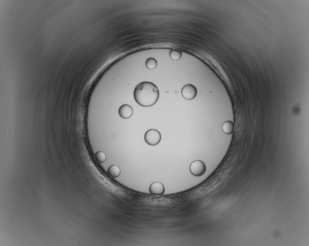 X0000091080851200708201432