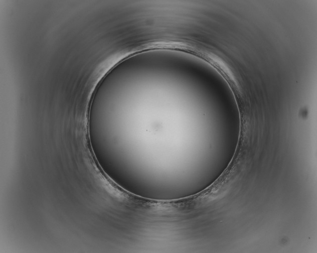 X0000091080852200708201432