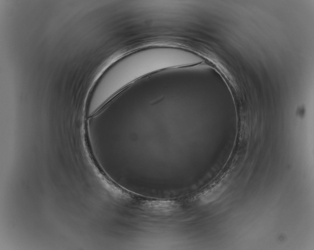 X0000091080853200708201432