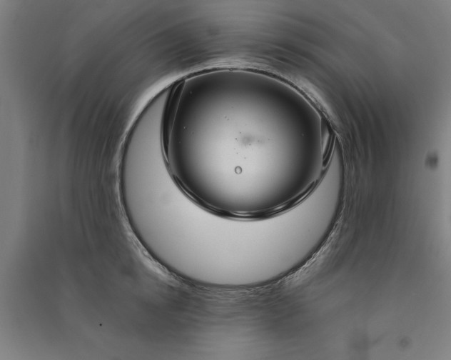 X0000091080854200708201432